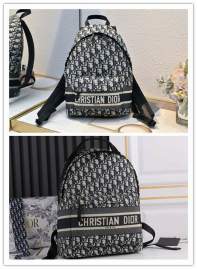Picture of Dior Handbags _SKUfw239323733fw